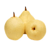 Груша Сочная