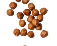 Фундук Лесной