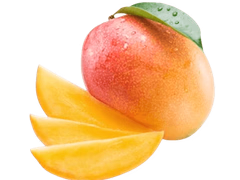 Слива Черная