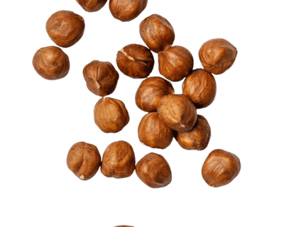 Фундук Лесной