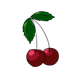 Семена Огурец, 1 г - 1