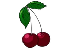 Алыча Сладкая - Image 1