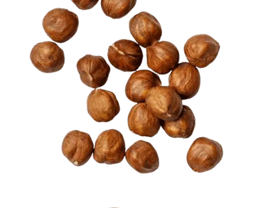 Фундук Лесной