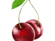Ежевика Бархатная - Image 2